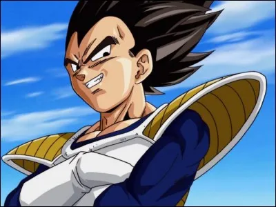 Quel est le rival de Vegeta ?