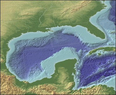 Quels sont les deux fleuves qui se jettent dans le golfe du Mexique ?
