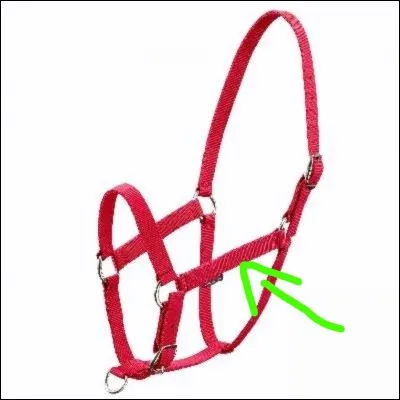 Quelle est cette partie du licol ?