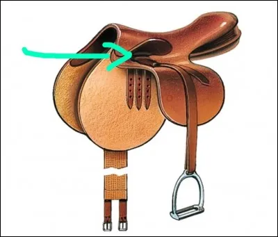 Quelle est cette partie de la selle ?