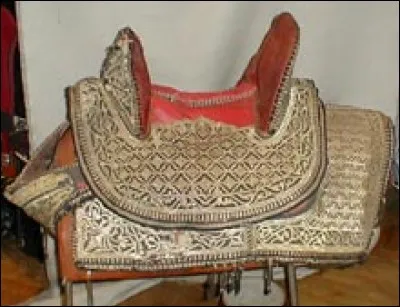 Ce type de selle est ...