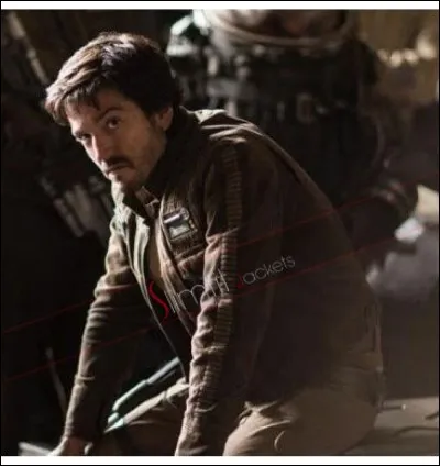 Quel est le rôle de Cassian Andor dans l'Alliance rebelle ?