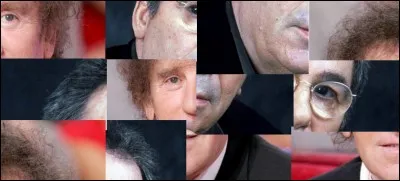 On peut voir sur cette image, Claude Nougaro et Alain Souchon.