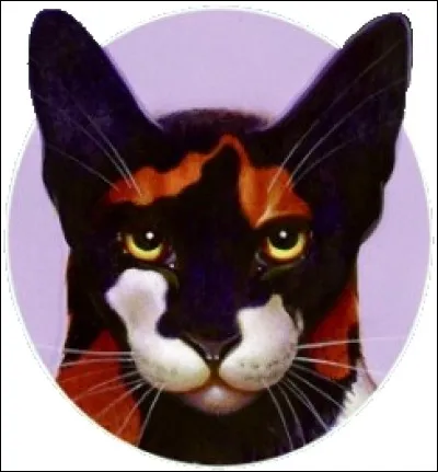 Comment Sol savait-il que le Soleil allait disparaître ?