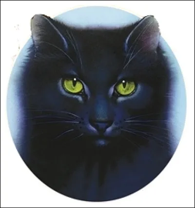 Quel est le pouvoir de Feuille de Houx ?