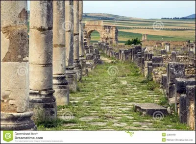 Lequel de ces droits n'est pas un droit accordé aux citoyens romains ?