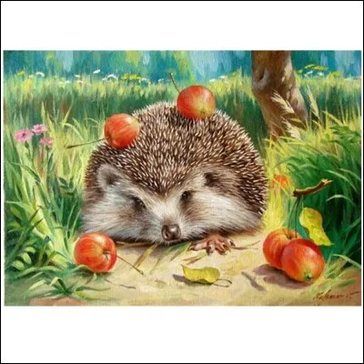 Chenille poilue de diverses espèces de papillons nocturnes !