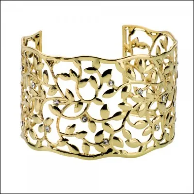 Comment appelez-vous ce type de bracelet ?