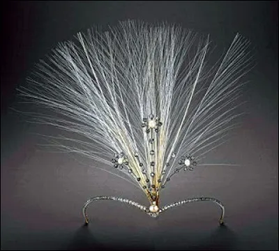 Quel est cet accessoire de coiffure ?