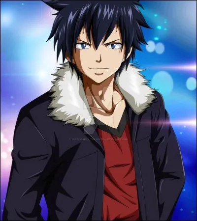 Quelle est la magie de ce jeune mage du nom de Grey ?