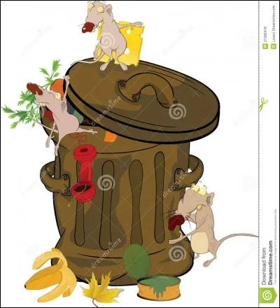 Où déversez-vous les ordures?