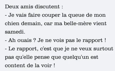 Quiz Blagues
