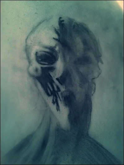 De quelle classification est-il ?