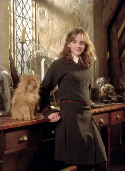 Comment s'appelle le chat de Hermione ?
