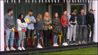 Parmi les candidats restants sur cette image, lequel s'est fait éliminé en premier de l'aventure "Secret Story 11" ?