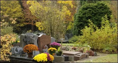 /Épitaphe/ Siné a fait écrire sur sa tombe la phrase suivante : "Mourir ? Plutôt crever !". Savez-vous qui était cet homme ?