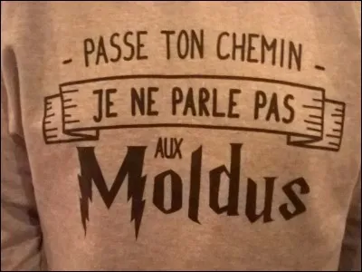 Si un jour, un né-moldu vient te parler, que fais-tu ?