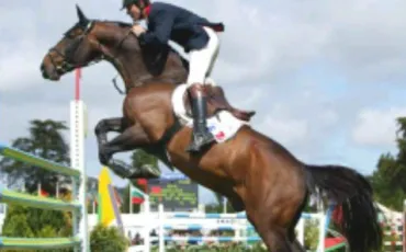 Quiz Galop 2
