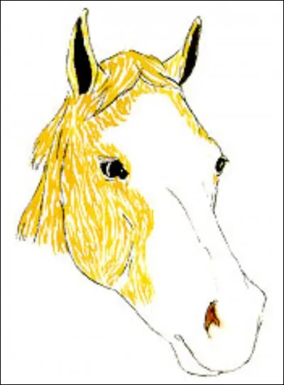 Quel est le nom de cet en-tête ?