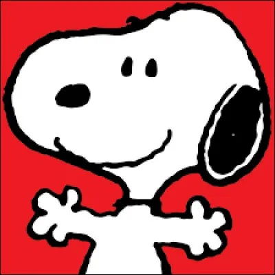 Sur quoi Snoopy aime-t-il s'allonger pour dormir ?