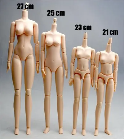 Comment appelle-t-on le corps ?