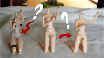 Quel est le mieux comme corps ?