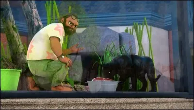 De quelle couleur sont les yeux d'Animan lorsqu'il est sous la forme de panthère ?