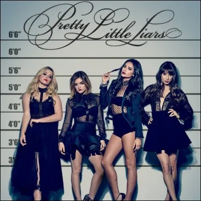 Quand la série s'est-elle terminée en France ?