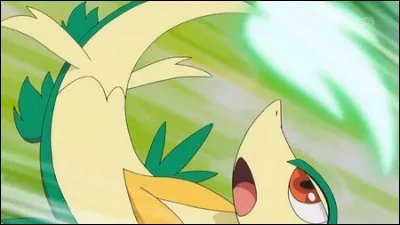 Quel est ce Pokémon ?