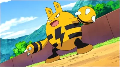 Quel est ce Pokémon ?