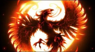 Aimes-tu les cr&eacute;atures magiques ?