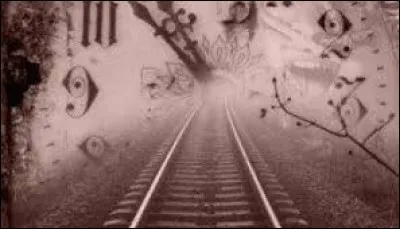 Aimerais-tu pouvoir voyager dans le temps ?