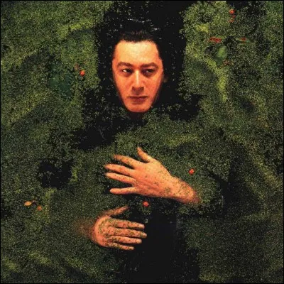 En quelle année est né Alain Bashung ?