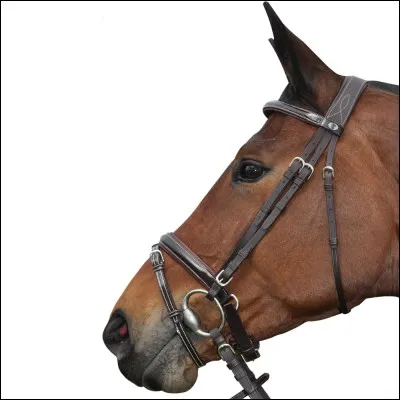 Comment s'appelle le bout de fer que l'on met dans la bouche du cheval ?