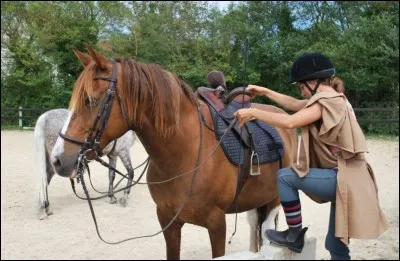 De quel côté monte-t-on à cheval ?