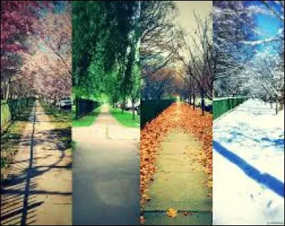 Quelles saisons vont bien ensemble ?