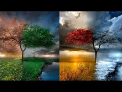 Quelle est ta principale qualité ?