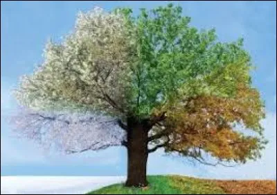 Tu préfères les couleurs...