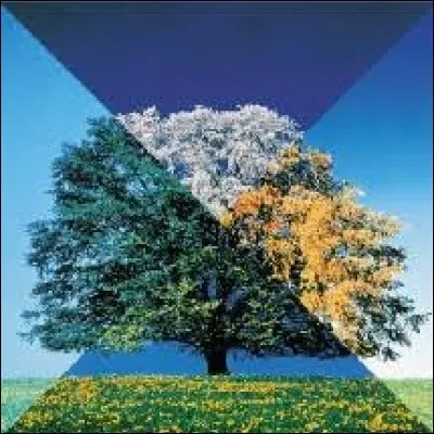 Préfères-tu les consonnes ou les voyelles ?