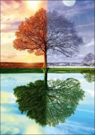 Préfères-tu le froid ou la chaleur ?