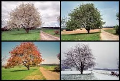 Dans quelle saison es-tu née ?