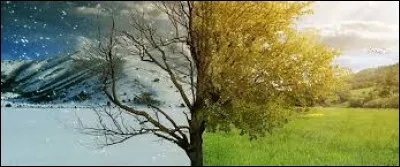 Quelle saison aimes-tu le moins ?