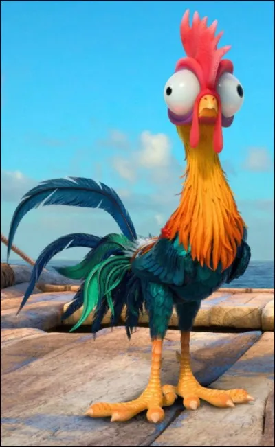 Comment s'appelle le poulet de Vaiana ?
