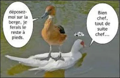 Littérature - 
Quel est le nom de ce conteur, qui écrivit environ cent cinquante contes de fées, dont ''Le vilain petit Canard'', en 1842 ?