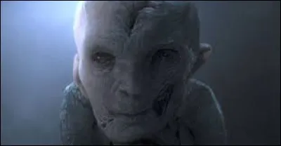 Qui est le grand-p&egrave;re maternel de Ben Solo ?