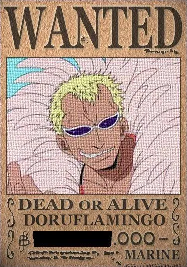 Quelle est la prime de Doflamingo ?