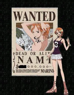 Quelle est la prime de Nami ?