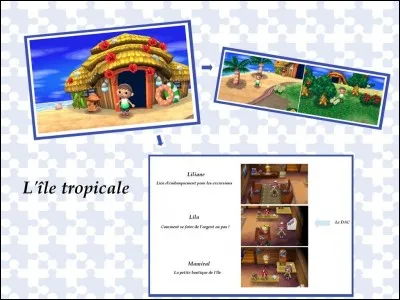 Avec quoi peut-on nager sur l'&icirc;le paradisiaque ?