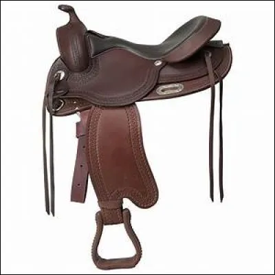 Quelle est cette selle ?