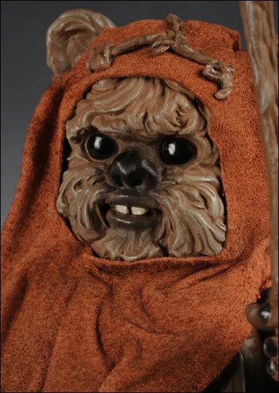 Dans l'épisode VI, quel est le nom de l'Ewok rencontré par Leia dans la forêt d'Endor ?